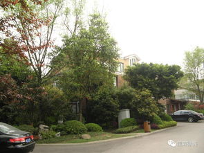 龍湖景觀 綠化施工3要點(diǎn)11關(guān)鍵