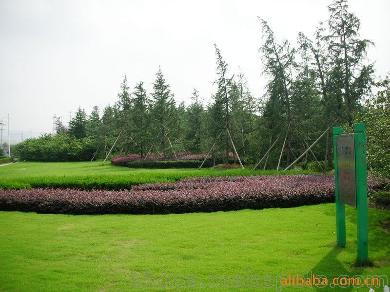 承攬綠化工程、園林施工、園林綠化工程養(yǎng)護(hù)