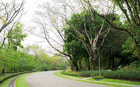 園林綠化工程公司注冊(cè)需要哪些程序