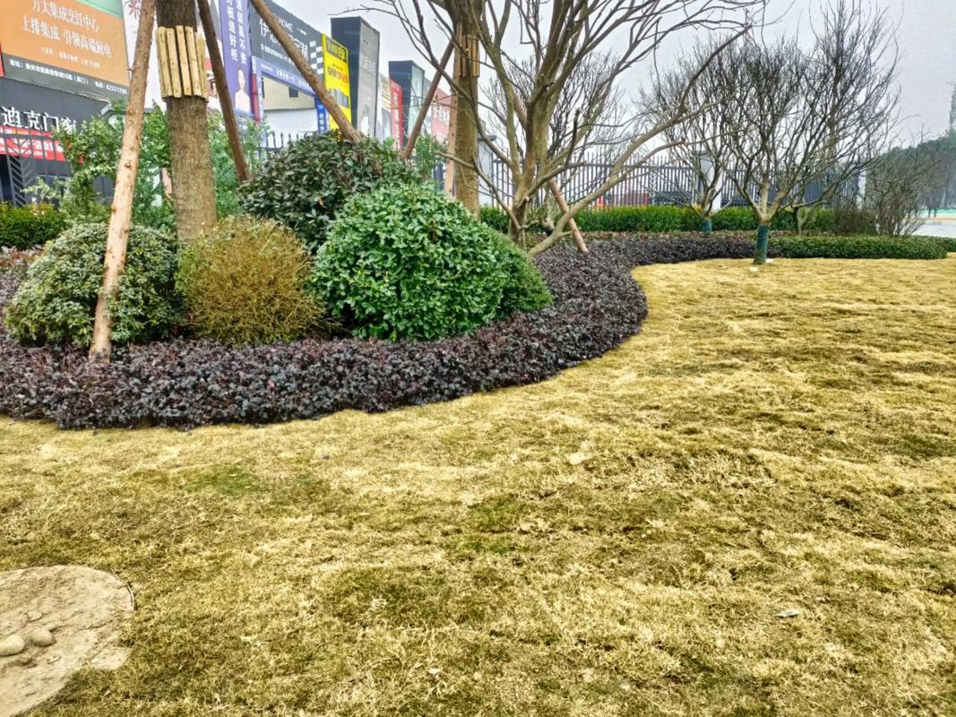 園林綠化工程 #施工現(xiàn)場實(shí)拍 #記錄在工地上的日子 #踏實(shí)