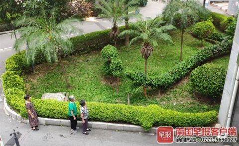 南寧綠化工人五年匠心打造動(dòng)物世界主題園林，綠色藝術(shù)驚艷全城